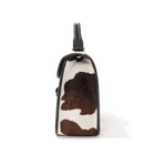 ベローナ 詳細画像