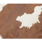 ピアッティーナ 詳細画像